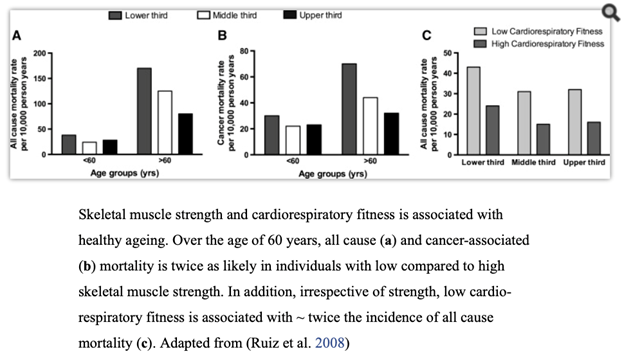 skeletal muscle strength and cardiorespiratory fitness graph